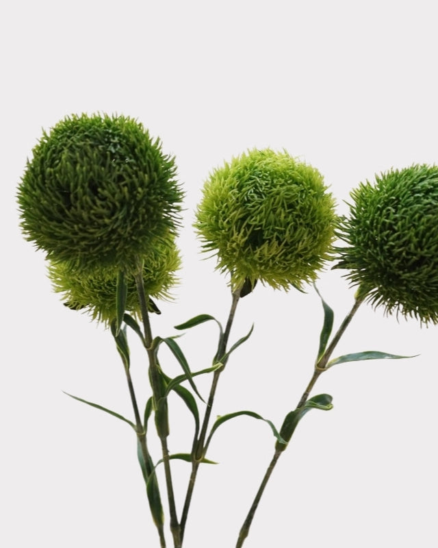 Green Dianthus Faux Flower - 22"