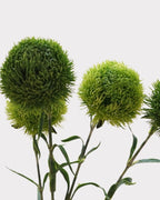 Green Dianthus Faux Flower - 22"