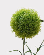 Green Dianthus Faux Flower - 22"