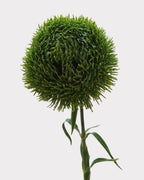 Green Dianthus Faux Flower - 22"