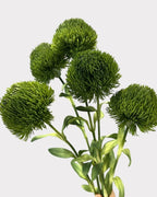 Green Dianthus Faux Flower in Dark Green - 20"