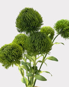 Green Dianthus Faux Flower in Dark Green - 20"