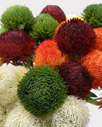 Green Dianthus Faux Flower in Dark Red - 20"