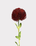 Green Dianthus Faux Flower in Dark Red - 20"