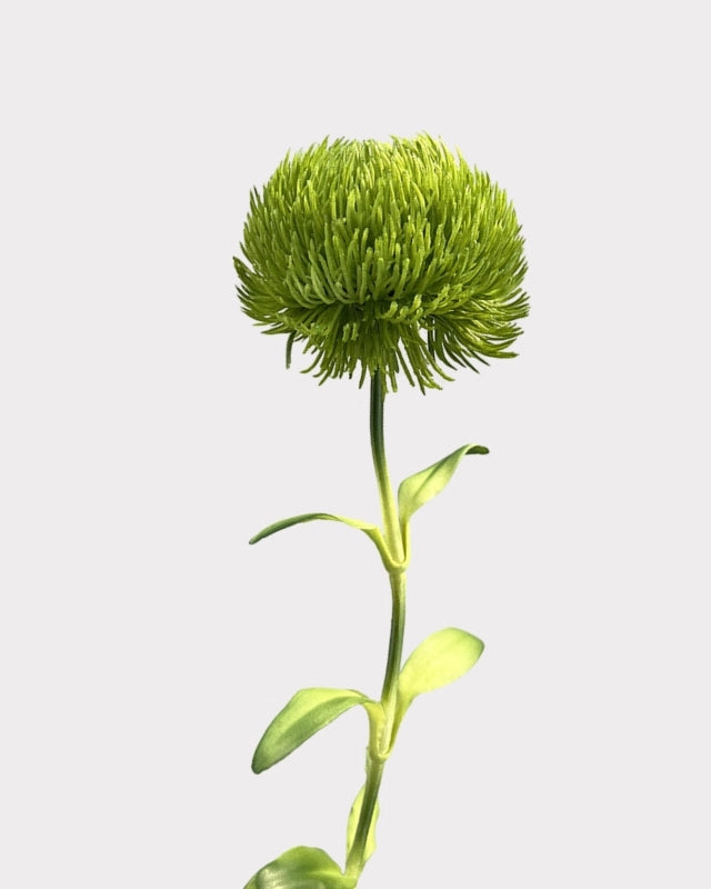 Green Dianthus Faux Flower in Light Green - 20"