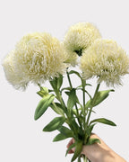 Green Dianthus Faux Flower in White - 20"