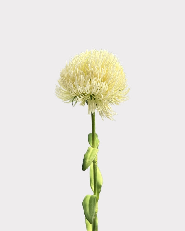 Green Dianthus Faux Flower in White - 20"
