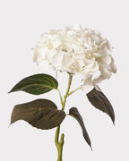 Hawaiian Hydrangea Faux Flower - 25"