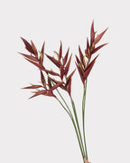 Heliconia Faux Flower in Dark Brown - 37"