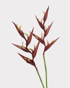 Heliconia Faux Flower in Dark Brown - 37"