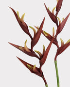 Heliconia Faux Flower in Dark Brown - 37"