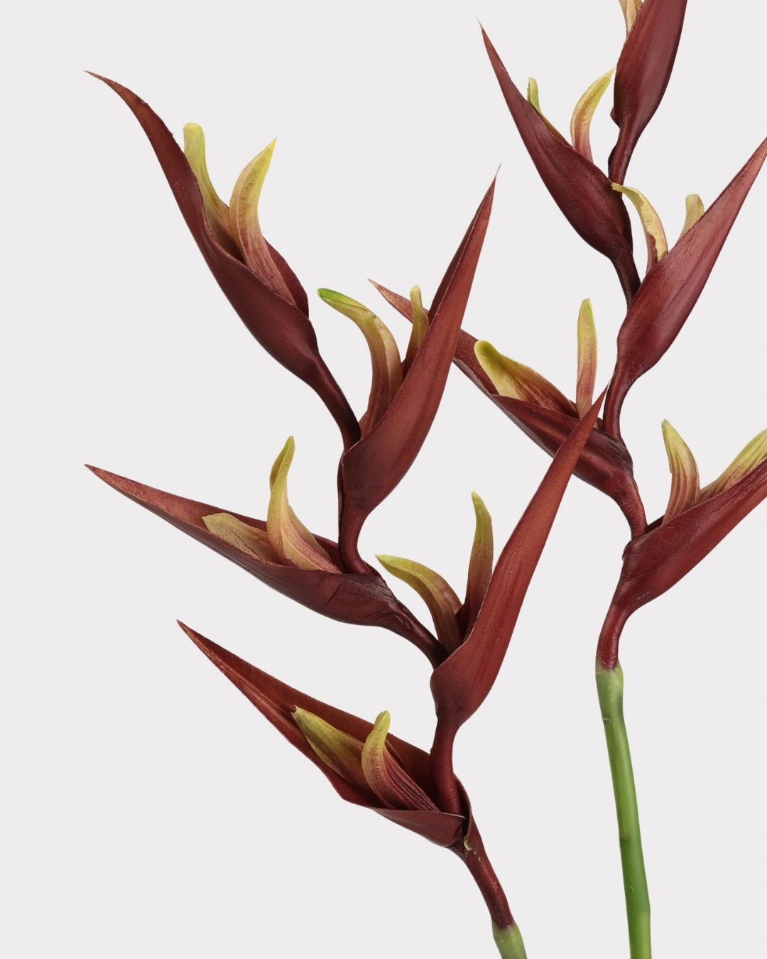Heliconia Faux Flower in Dark Brown - 37"