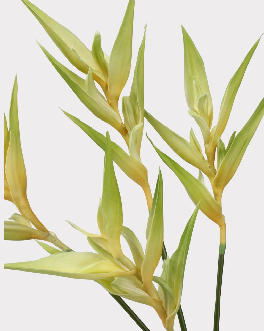 Heliconia Faux Flower in Green - 37"