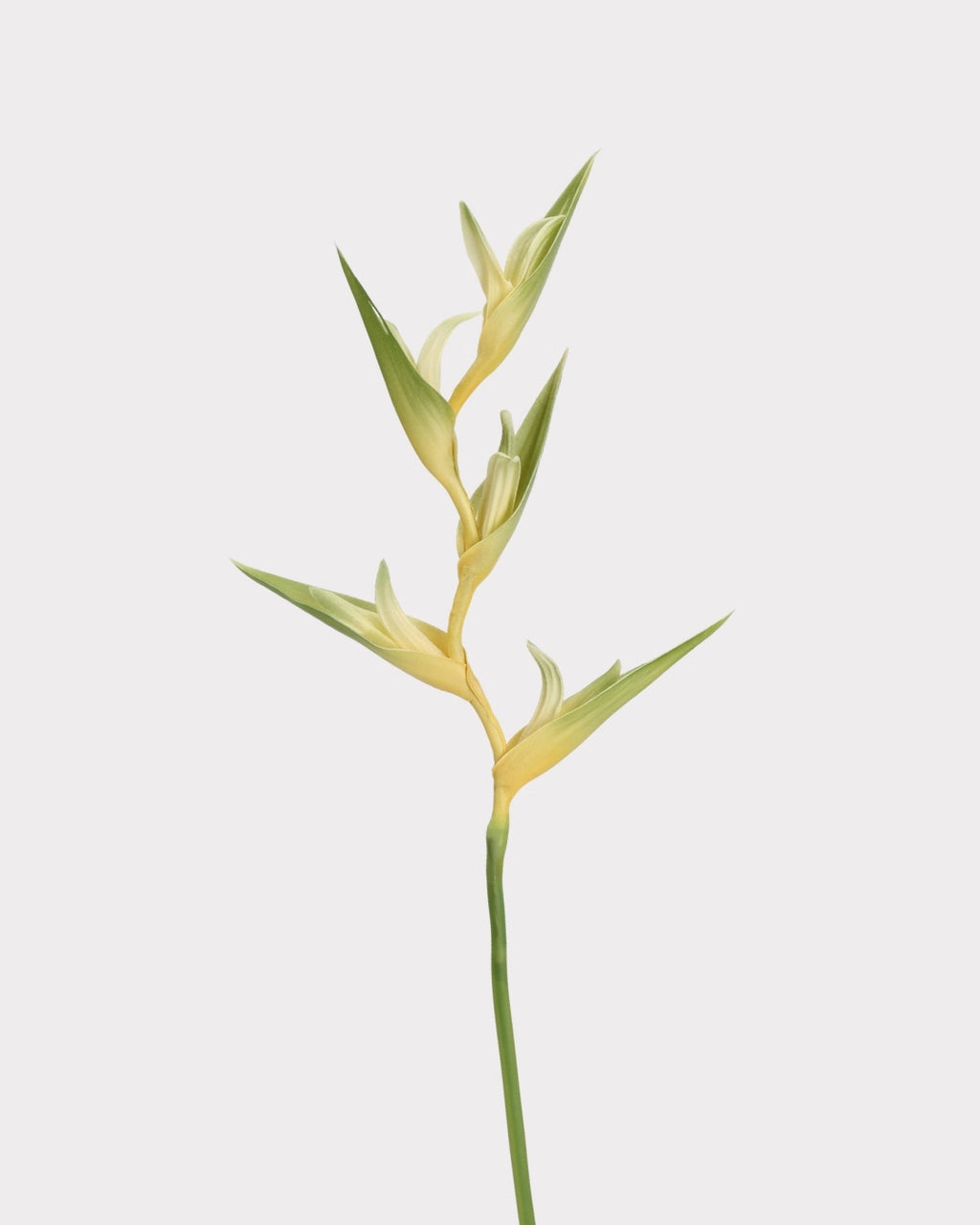 Heliconia Faux Flower in Green - 37"