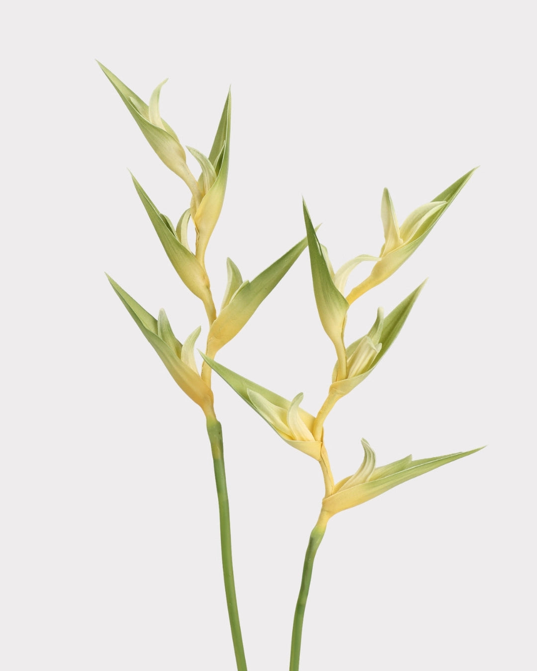 Heliconia Faux Flower in Green - 37"