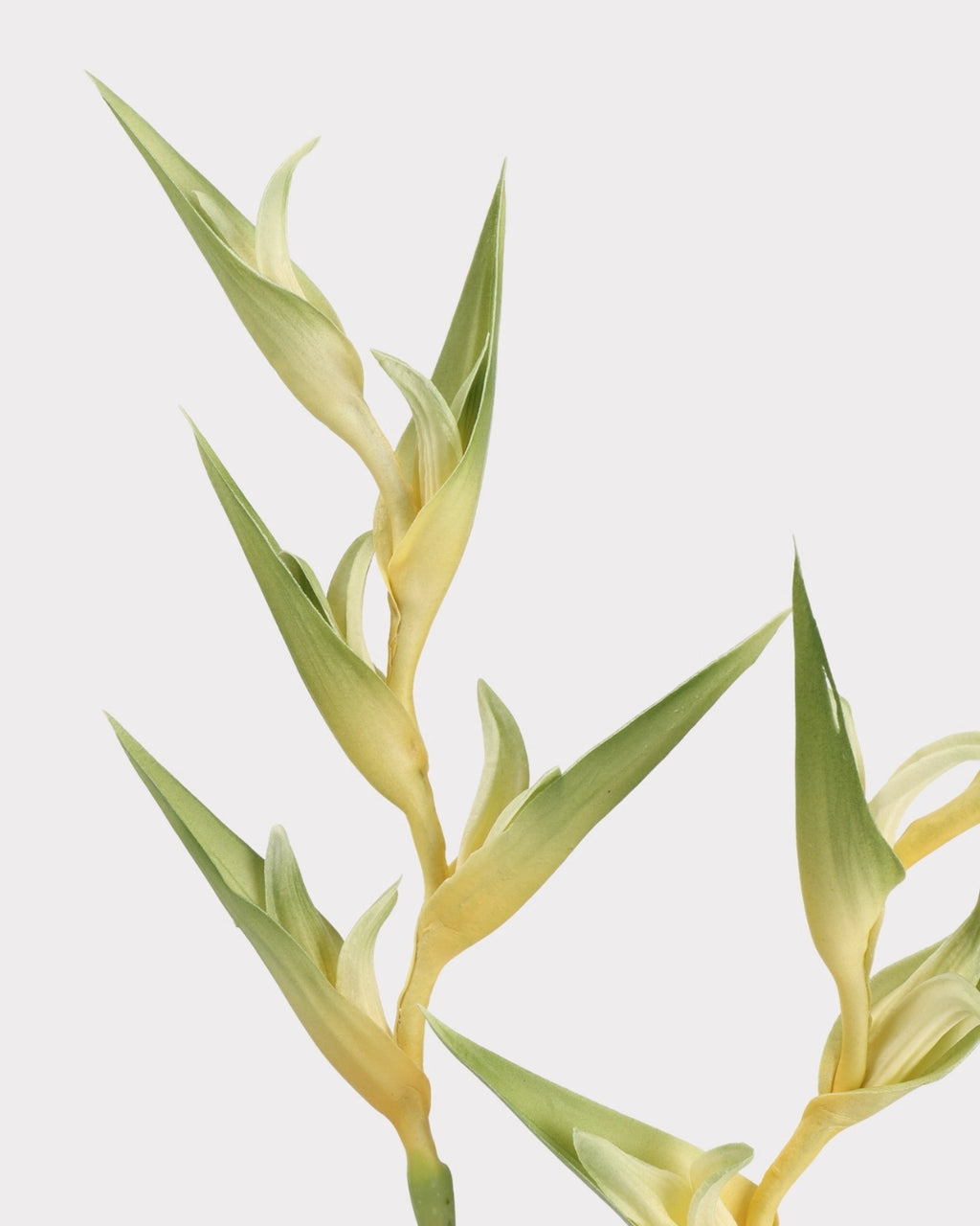 Heliconia Faux Flower in Green - 37"