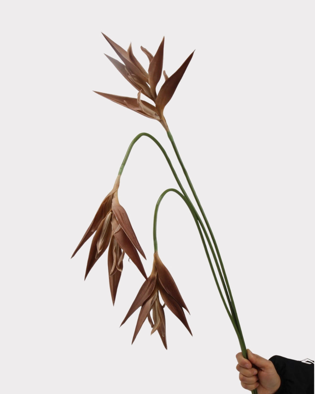 Heliconia Faux Flower in Light Brown - 37"