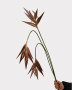 Heliconia Faux Flower in Light Brown - 37"