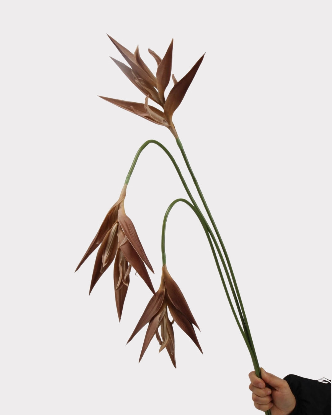Heliconia Faux Flower in Light Brown - 37"