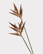 Heliconia Faux Flower in Light Brown - 37"