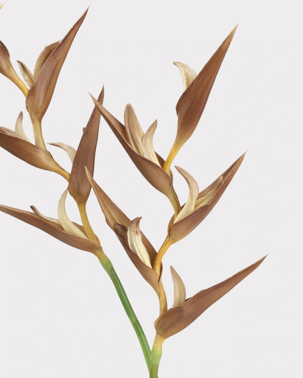 Heliconia Faux Flower in Light Brown - 37"