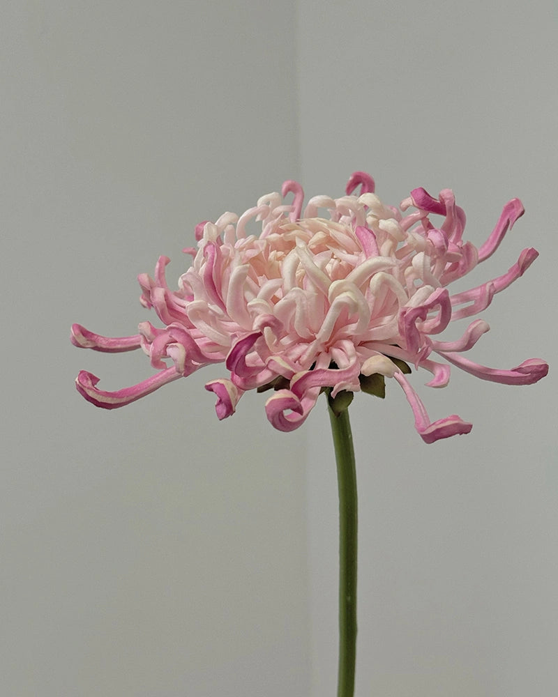 Imperial Chrysanthemum Faux Flower - 27.6"