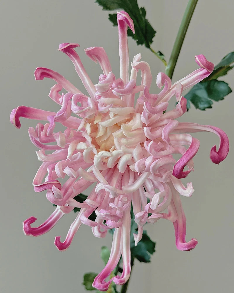 Imperial Chrysanthemum Faux Flower - 27.6"