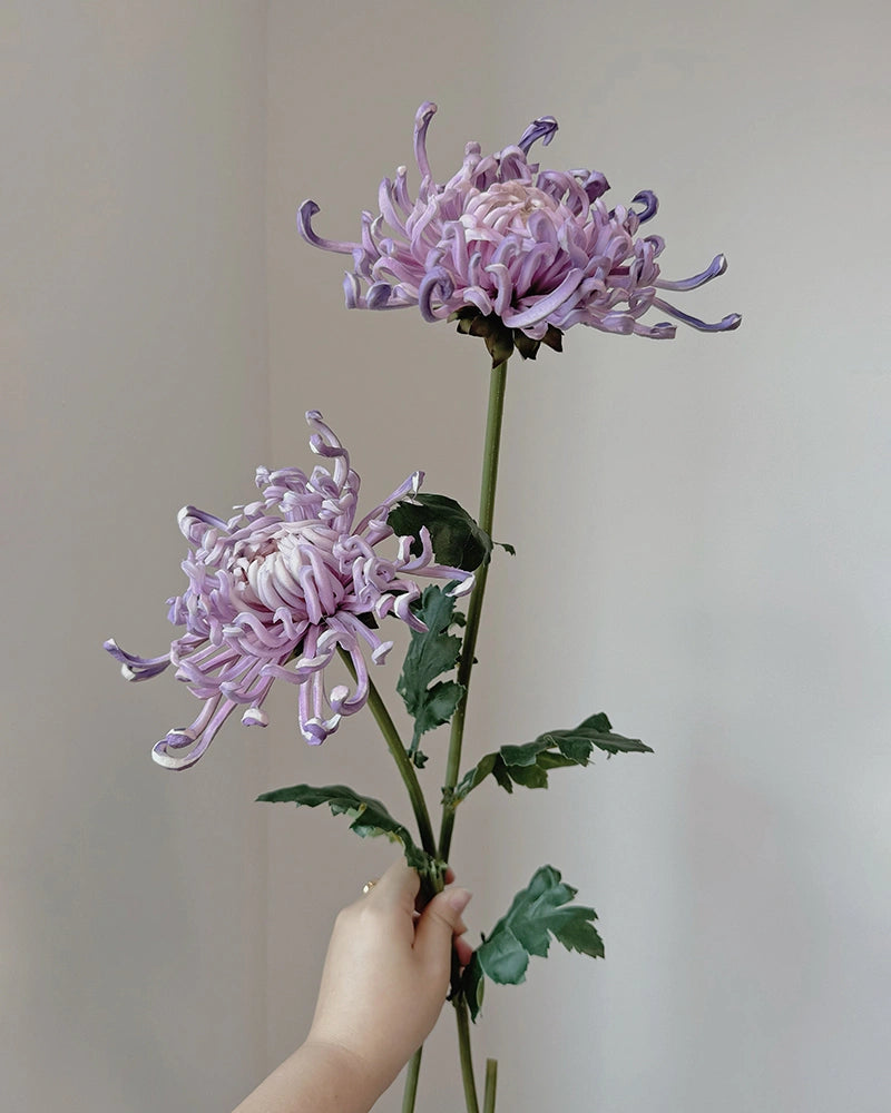 Imperial Chrysanthemum Faux Flower - 27.6"