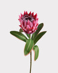 King Protea Faux Flower in Fuchsia - 19"