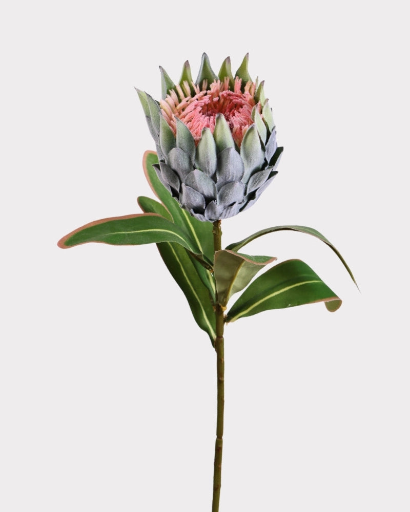 King Protea Faux Flower in Green - 19"