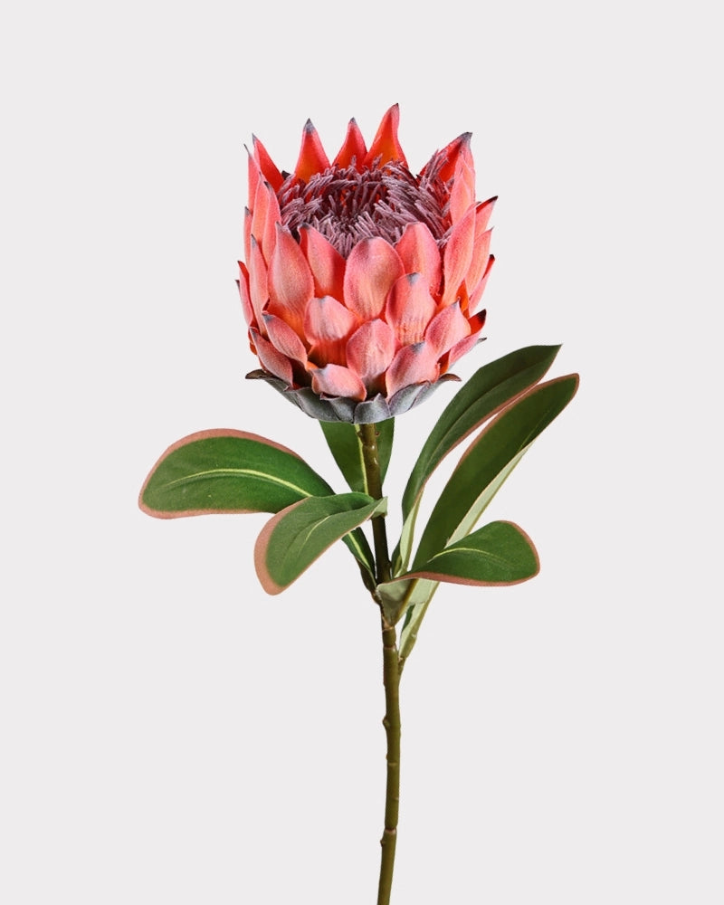 King Protea Faux Flower in Pink - 19"