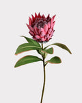 King Protea Faux Flower in Red - 19"