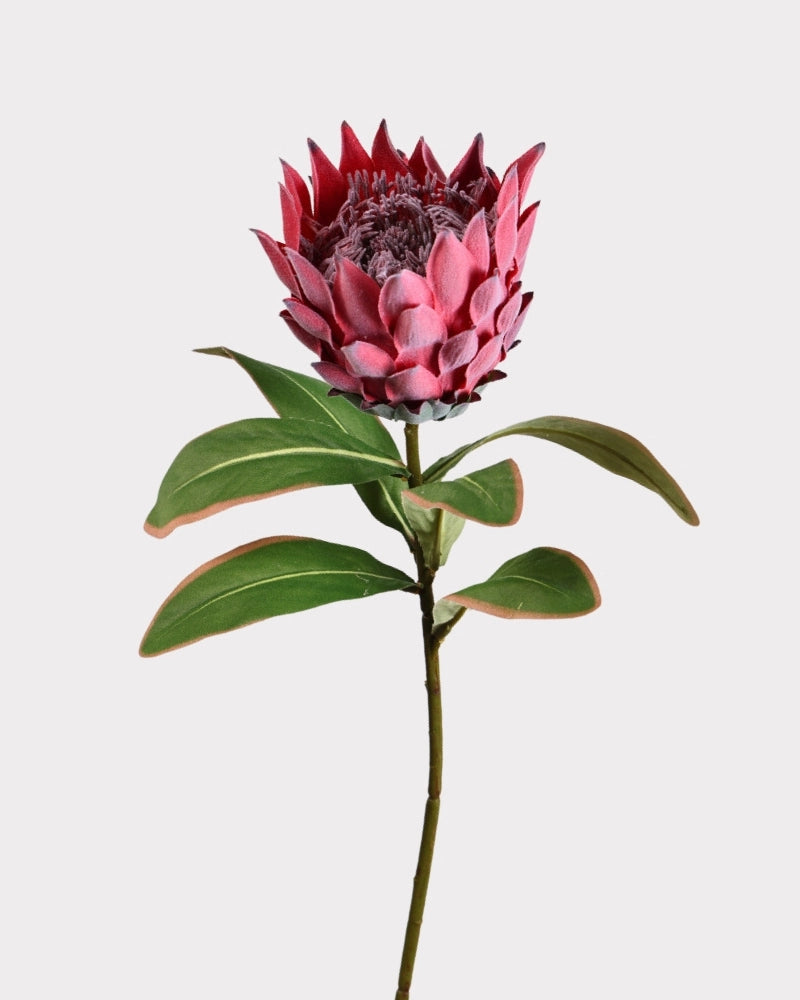 King Protea Faux Flower in Red - 19"