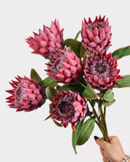 King Protea Faux Flower in Fuchsia - 19"