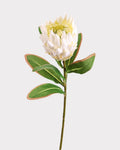 King Protea Faux Flower in White - 19"