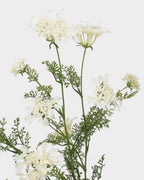 Lace Faux Flower in White - 37"