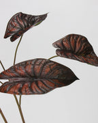 Large Artificial Alocasia Leaf Stem 28"
