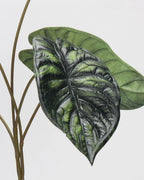 Large Artificial Alocasia Leaf Stem 28"