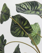 Large Artificial Alocasia Leaf Stem 28"