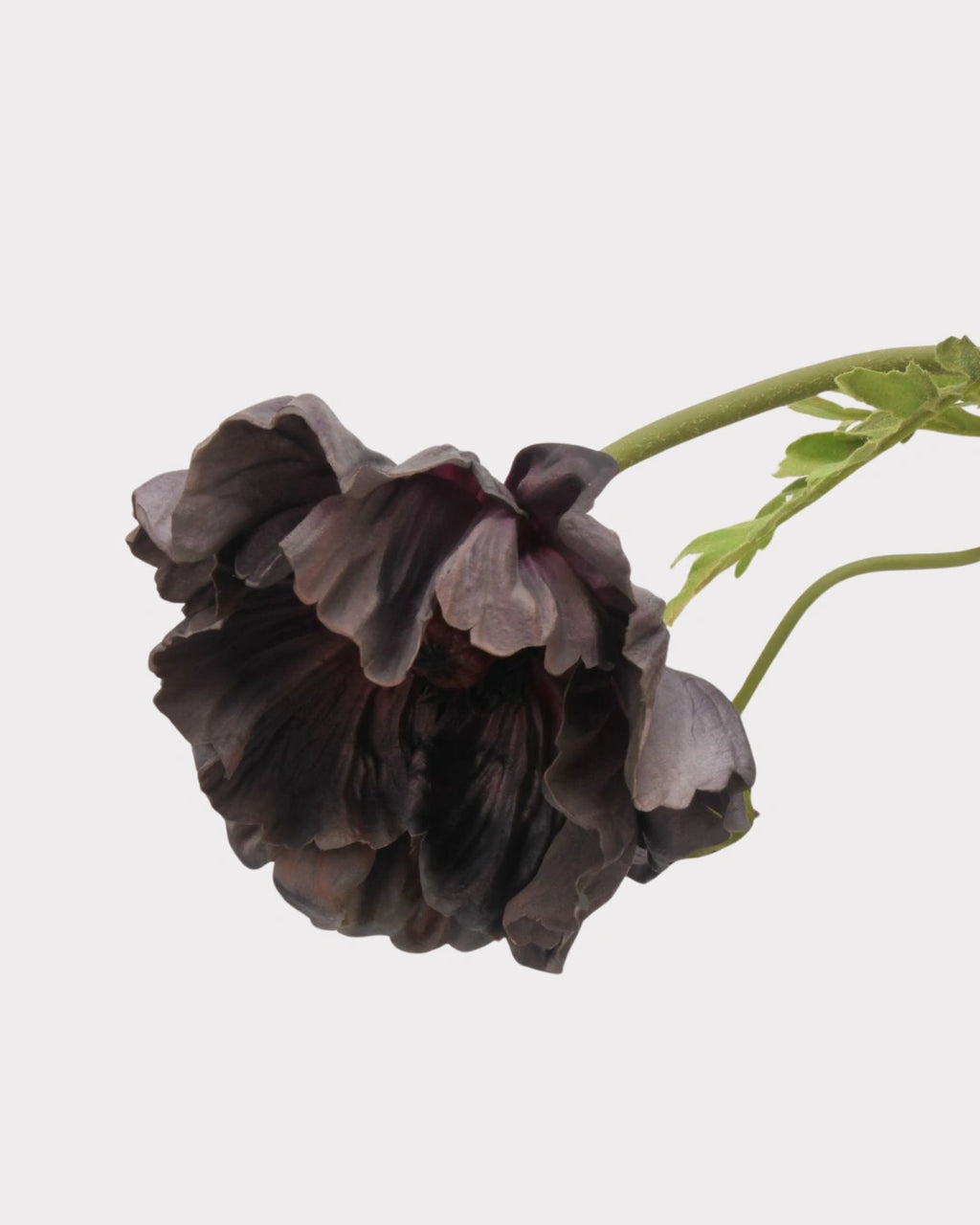 Large Real Touch Poppy Faux Flower in Black - 25"
