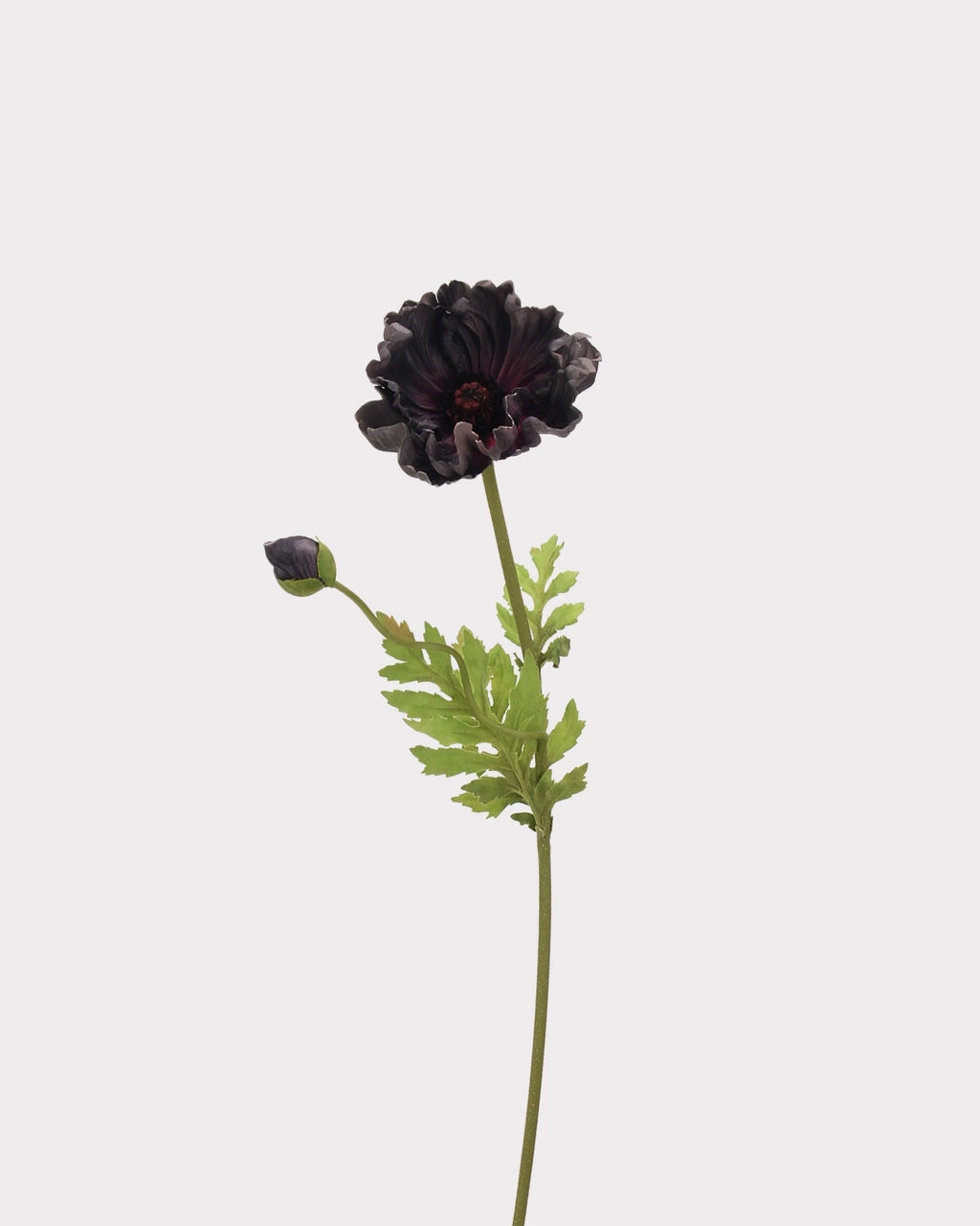 Large Real Touch Poppy Faux Flower in Black - 25"
