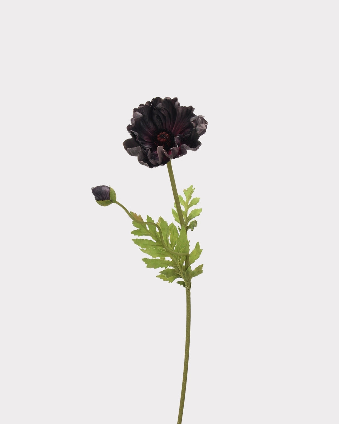Large Real Touch Poppy Faux Flower in Black - 25"