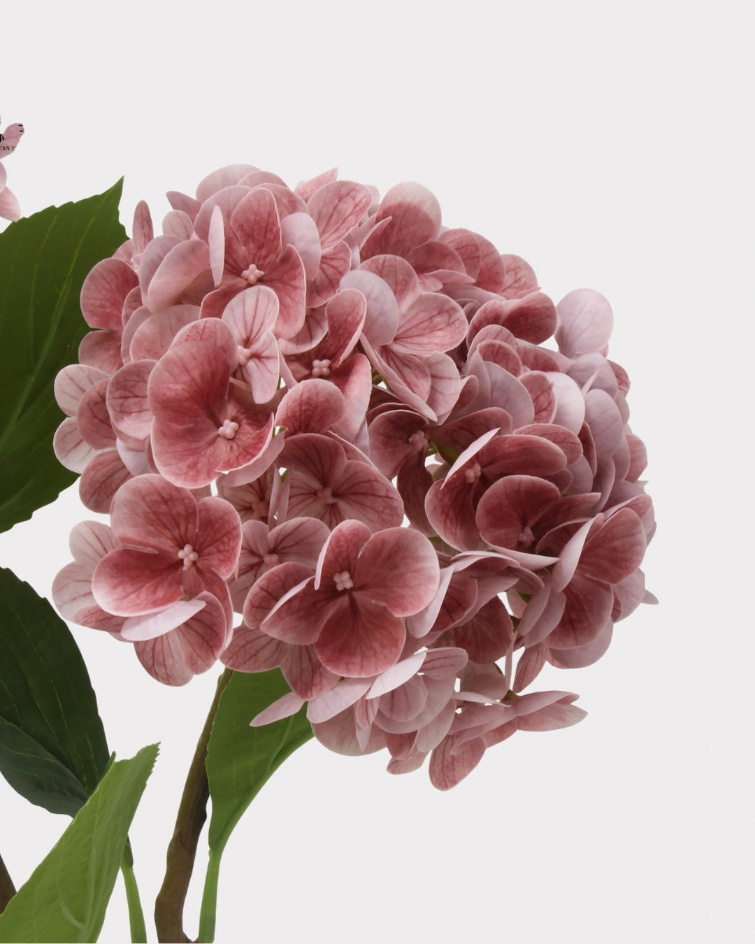 Lightweight Faux Hydrangea Flower Stem – 20.5"