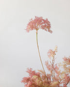 Lush Artificial Cotinus Coggygria Stem 27"