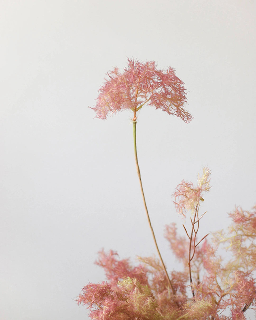 Lush Artificial Cotinus Coggygria Stem 27"