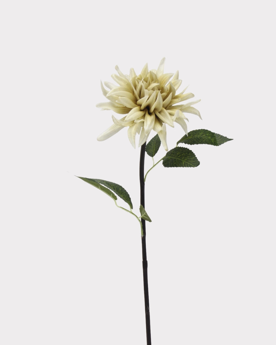Moisturizing Real Touch Faux Dahlia Flower - 20.9"