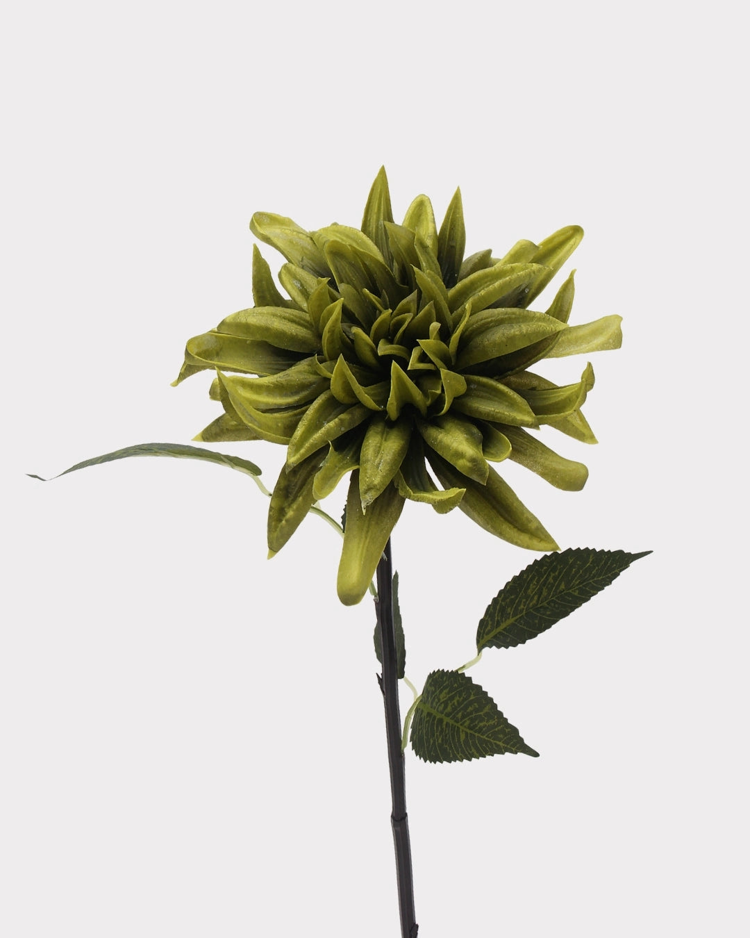 Moisturizing Real Touch Faux Dahlia Flower - 20.9"