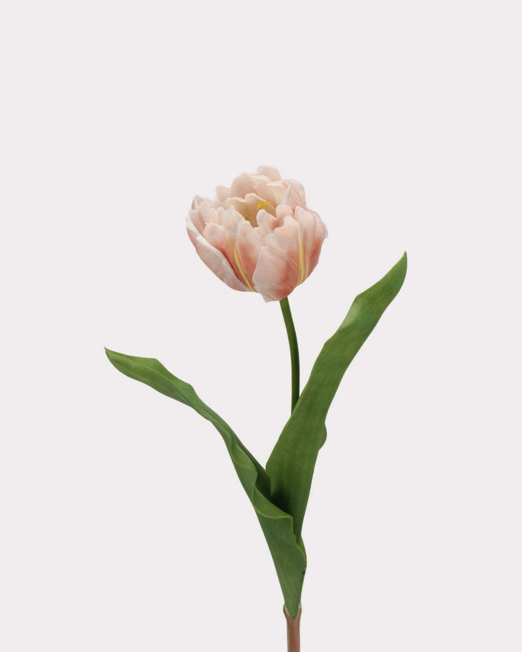 Moisturizing Real Touch Rococo Tulip Faux Flower - 23.6"
