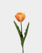 Moisturizing Real Touch Rococo Tulip Faux Flower - 23.6"