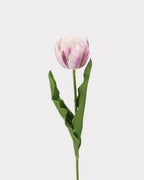 Moisturizing Real Touch Rococo Tulip Faux Flower - 23.6"